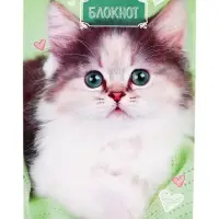 Набор блокнотов А6 24л кл на скобе Котята, мел карт, 4В 20шт