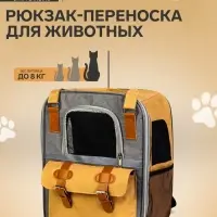 Рюкзак-переноска для кошек и собак, 30&times;21&times;41 см, серый, жёлтый