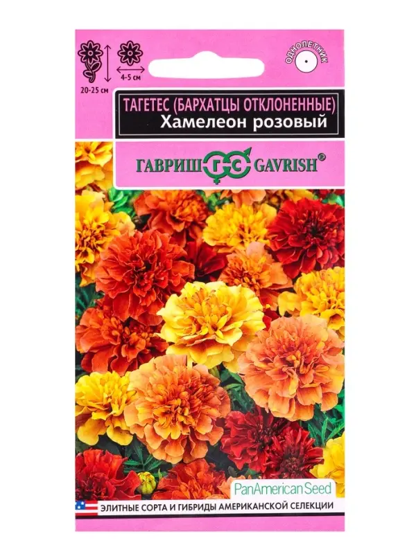 Семена цветов Бархатцы откл. Хамелеон розовый (Тагетес)* 5 шт. серия Эксклюзив