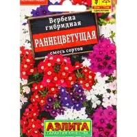 Семена цветов Вербена Раннецветущая, смесь сортов , Лидер,30 шт. Семена цветов Вербена Раннецветущая, смесь сортов , Лидер,30 шт.
