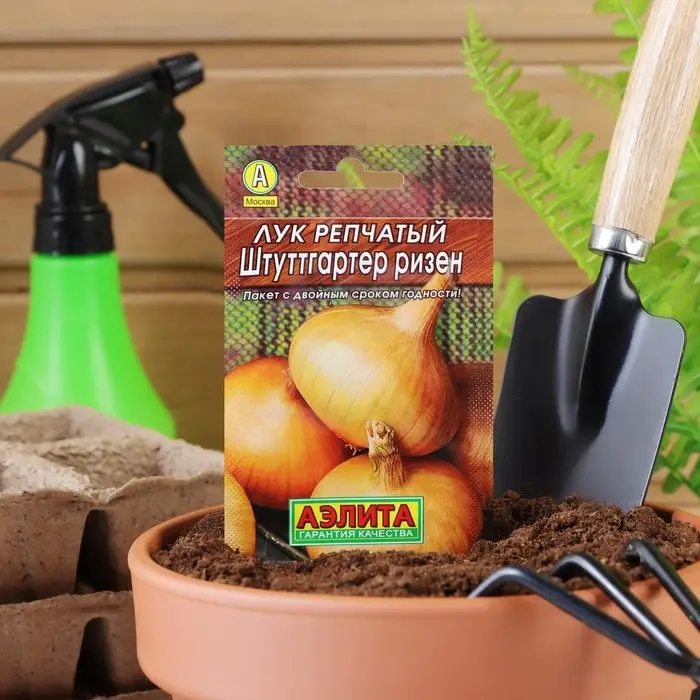 Семена Лук репчатый  Семена Лук репчатый "Штуттгартер ризен", 1 г  ,