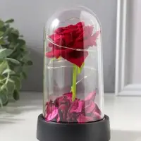 Фигурка световая колба RISALUX &laquo;Красная роза&raquo;, LED-ночник, 3&times;AG10, 8.5&times;8.5&times;15.5 см