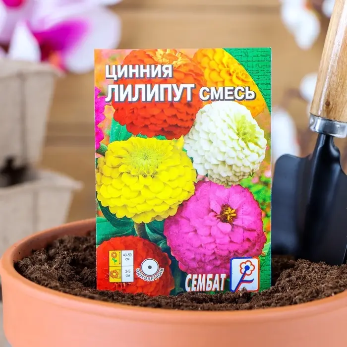 Семена цветов Цинния &laquo;Лилипут&raquo; смесь, 0.3 г, &laquo;Сембат&raquo;