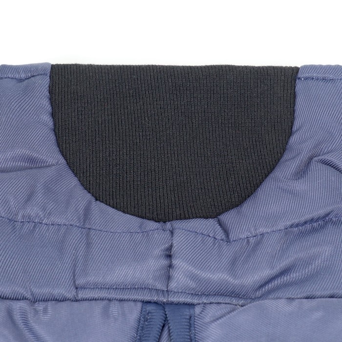 Попона для больших собак, мембранная ткань,  размер 3XL (ДС 51, ОШ 50, ОГ 67-75 см), синяя