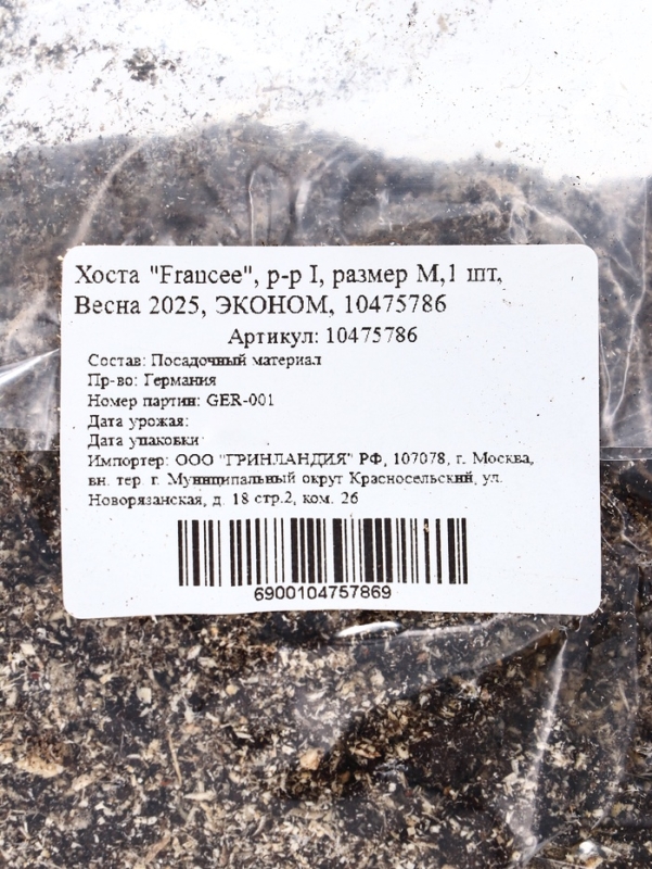 Хоста "Francee", р-р I, размер M,1 шт, Весна 2025, ЭКОНОМ,