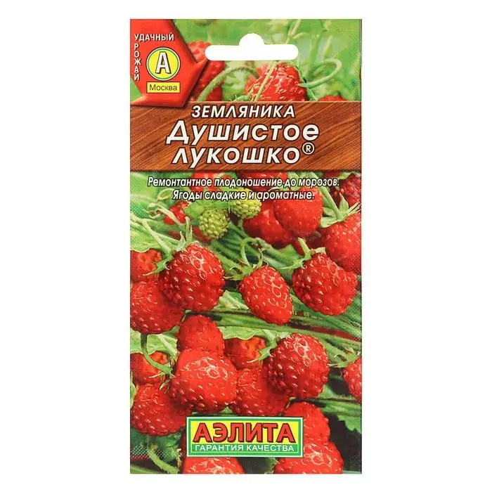 Семена  Земляника  Семена  Земляника "Душистое лукошко" альпийская, 0,04 г