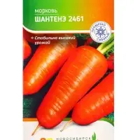 Семена Морковь &laquo;Шантенэ 2461&raquo;, 2 г, &laquo;Агросс&raquo;