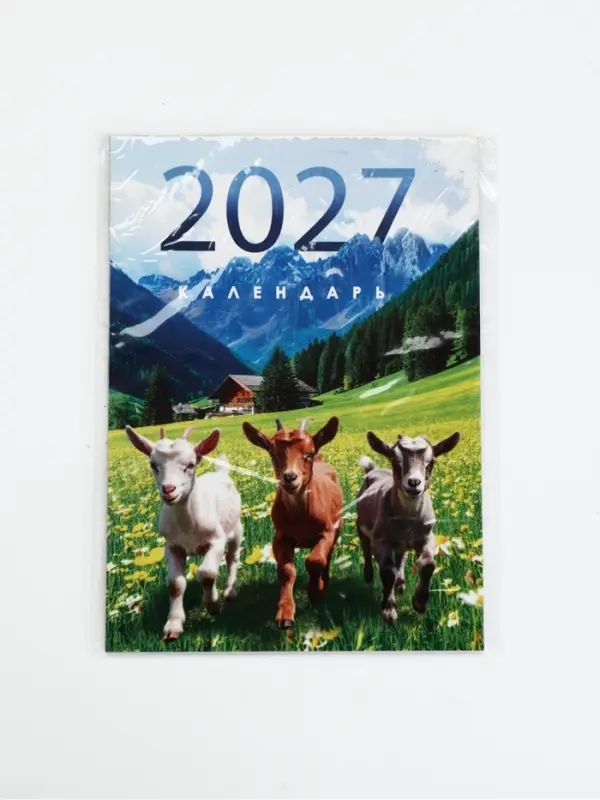 Календарь 2027, отрывной на магните &laquo;Фоторелистичный 2027&raquo; 9.5&times;13 см