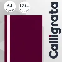 Папка-скоросшиватель Calligrata, А4, 120 мкм, малиновая, прозрачный верх