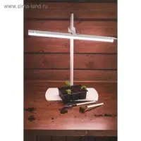 Кассета для рассады, 9 ячеек по 80 мл, пластик, чёрная, 18&times;13&times;6 см, Greengo