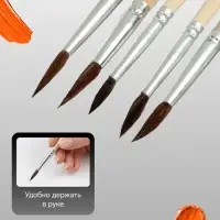 Набор кистей для рисования, белка, 5 штук: № 1, 2, 3, 4, 5, круглые, деревянная ручка, международный размер