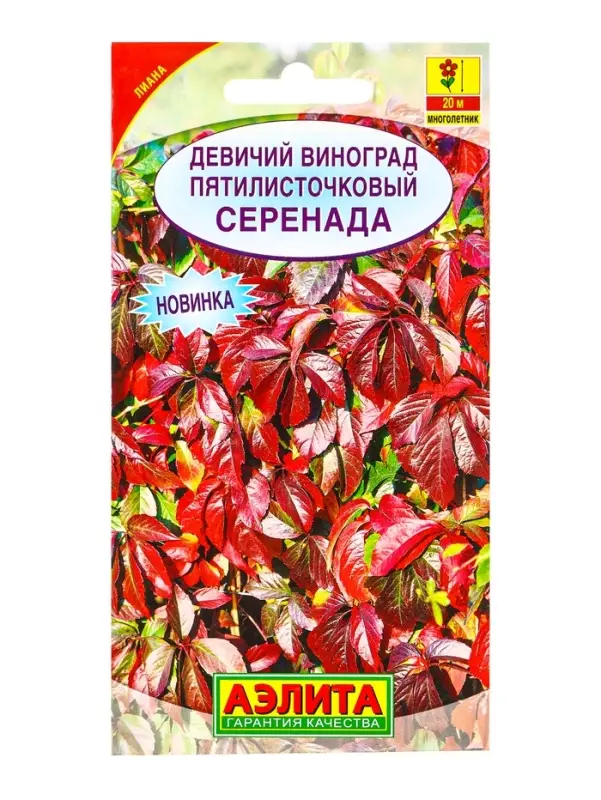 Семена цветов Девичий виноград Серенада Мн, Ц/П,10 шт. Семена цветов Девичий виноград Серенада Мн, Ц/П,10 шт.