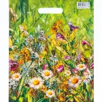 Пакет подарочный &laquo;Пленер&raquo; полиэтиленовый с вырубной ручкой, ламинированный 31&times;40 см, 30 мкм