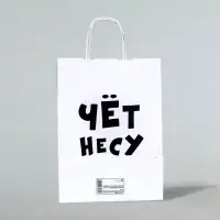 Пакет подарочный бумажный «Чёт несу», 24×14×28 см