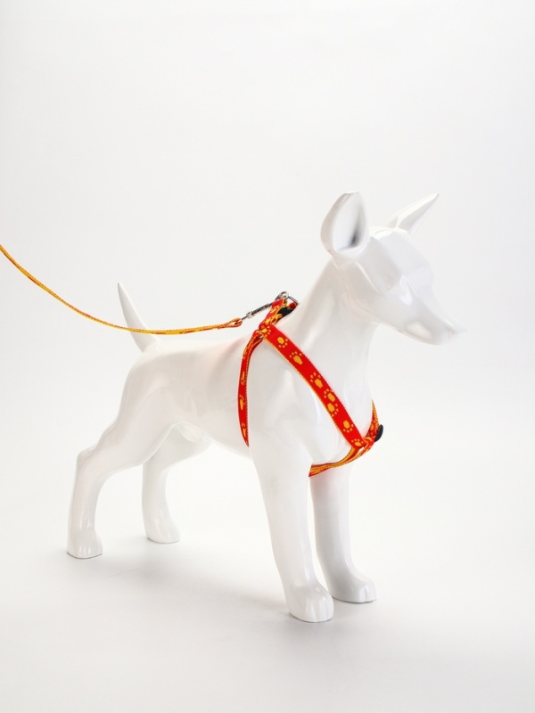 Комплект Комплект "Большая лапа", ширина 1,5 см, поводок 120 см, шлейка 28-42 см, оранжево-жёлтый