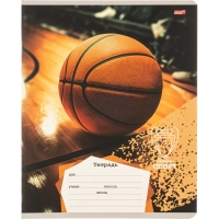 Тетрадь КЛЕТКА 18л. РАЗНЫЕ МЯЧИ-2 обл.-мел.карт,ассорти 18-4313