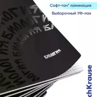 Комплект тетрадей 48 листов в клетку/линейку ErichKrause Noir, 12 штук