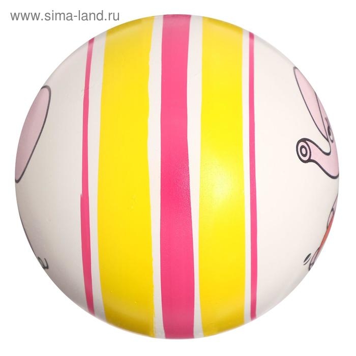 Мяч резиновый, диаметр 100 мм, (рисунок), цвета МИКС Мяч резиновый, диаметр 100 мм, (рисунок), цвета МИКС
