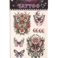 Татуировка на тело &laquo;Бабочки и месяцы&raquo;, 12.5&times;20.7 см, цветная