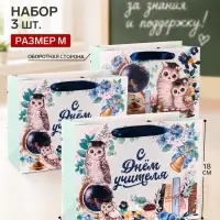Пакеты подарочные &laquo;С Днём учителя&raquo;, набор 3 шт., 23&times;18&times;10 см