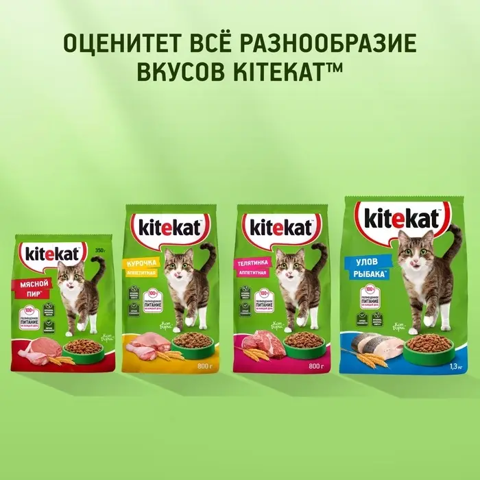 Сухой корм Whiskas для кошек, Телятинка аппетитная, 1.3 кг Сухой корм Whiskas для кошек, Телятинка аппетитная, 1.3 кг