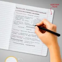 Тетради 10 штук, 18 листов в линейку Calligrata &laquo;Однотонная Классика. Эконом&raquo;, серые листы, МИКС