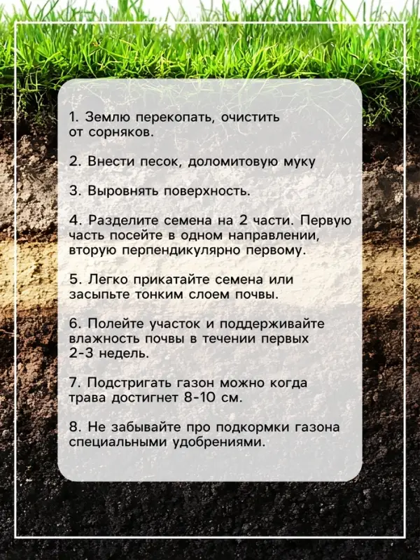 Газонная травосмесь Микс &laquo;Мой Выбор&raquo;, травосмесь, 1 кг