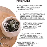 Перлит &laquo;Рецепты Дедушки Никиты&raquo; марка М100 4 л.