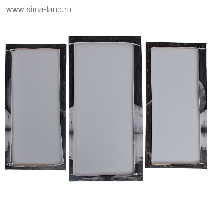 Модульная картина  Модульная картина "Лебеди под луной"  (2-25х52; 1-30х60) 60х80 см