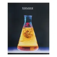 Предметная тетрадь по химии Calligrata TOP &laquo;Школьный стиль&raquo;, 48 листов, в клетку, со справочным материалом, пластиковая обложка