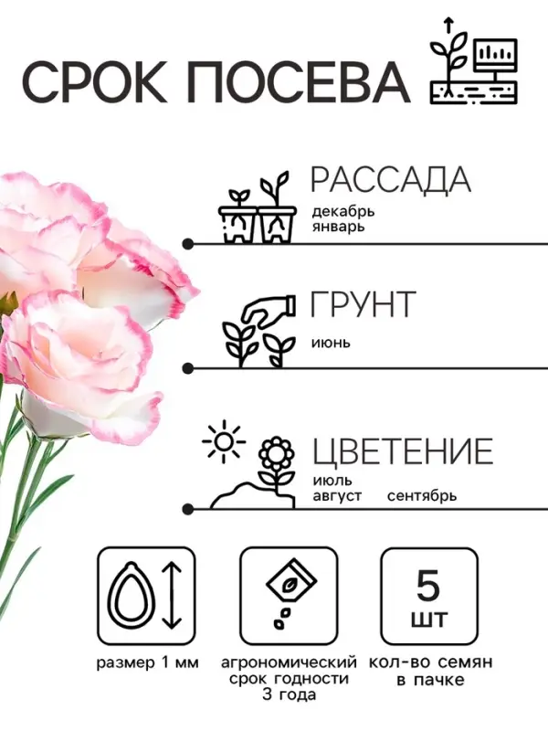 Семена цветов Эустома &laquo;Эйбиси роуз рим&raquo;, F1, крупноцветковая махровая, 5 шт., однолетник, &laquo;Аэлита&raquo; селекция PanAmerican Seed