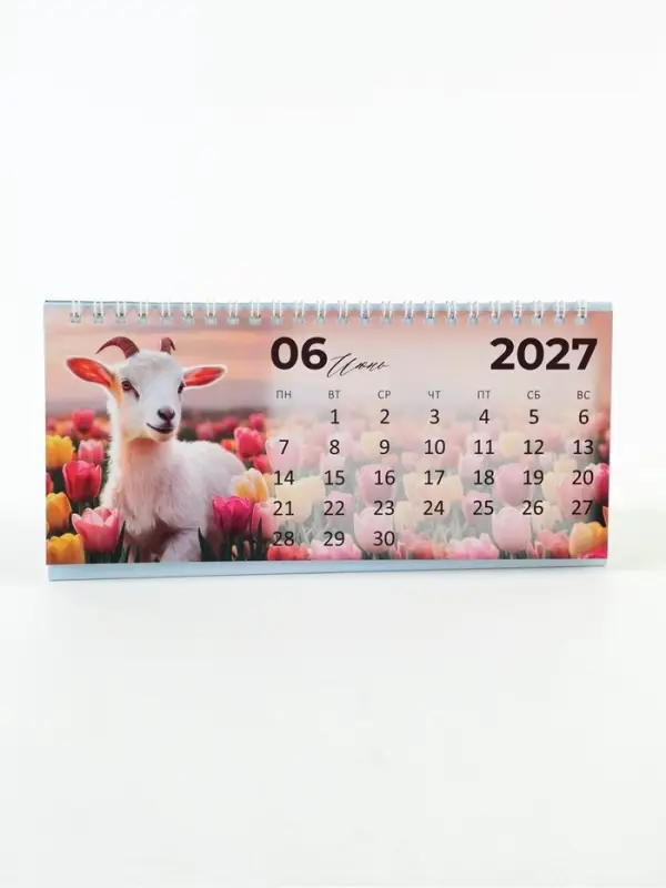 Календарь 2027 настольный &laquo;Символ года&raquo;, домик с курсором, набор