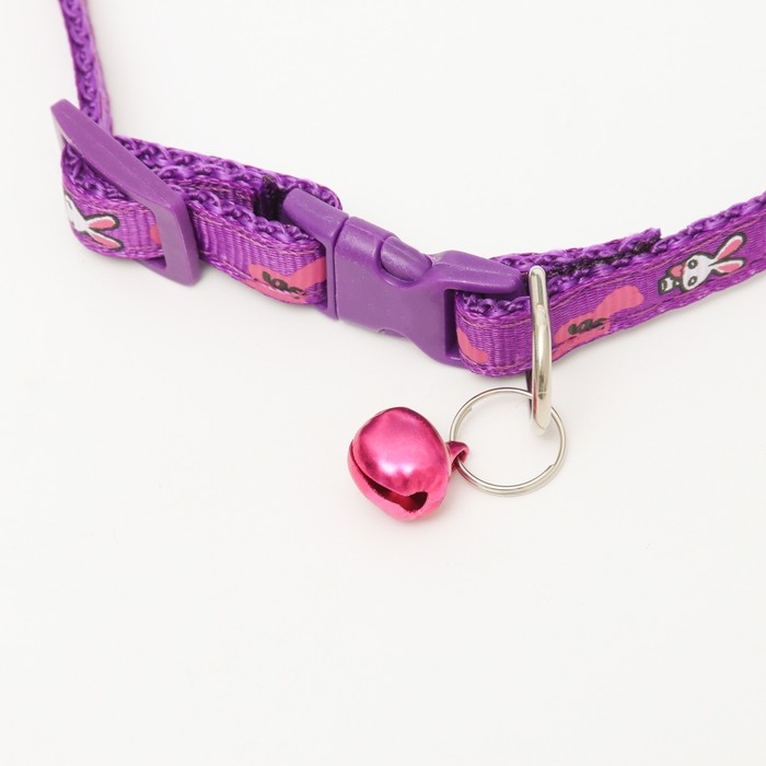 Ошейник двухслойный с фастексом Ошейник двухслойный с фастексом "Зайки", 30 х 1 см, фиолетовый