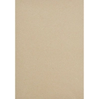 Картон белый Выбор есть Отличник 20л А4 немелован.пакет