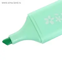 Маркер-текстовыделитель 1-5 мм, LadyMarker, мятный
