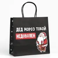 Пакет подарочный новогодний &laquo;Подарок, который ты заслужил&raquo;, 22&times;22&times;11 см