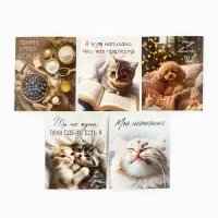 Набор мини-открыток в коробке со скрепками «Котики», 35 штук, 8 x 10 см Набор мини-открыток в коробке со скрепками «Котики», 35 штук, 8 x 10 см