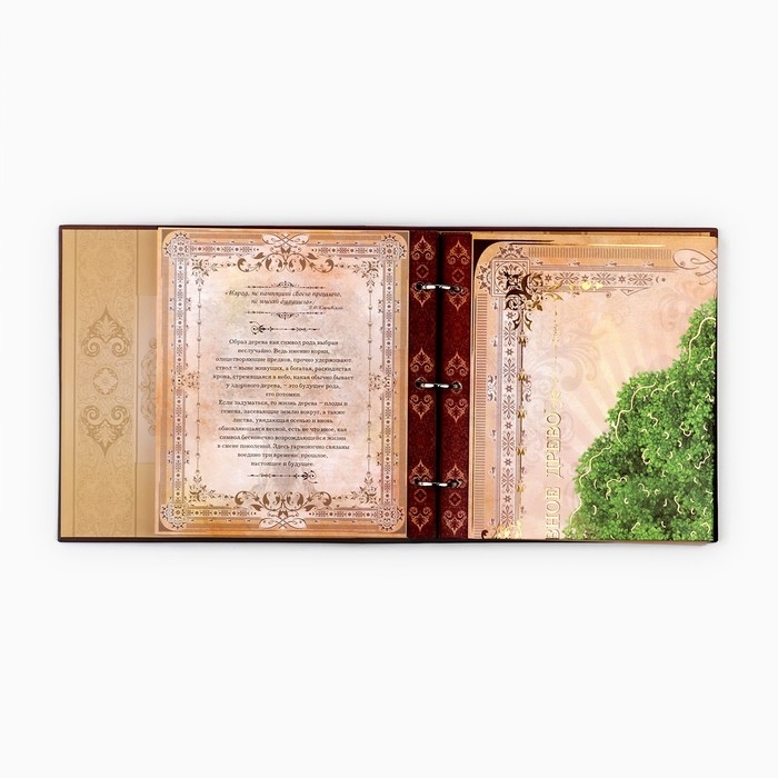 Родословная книга с рамкой под фото «Семейная летопись», 22,5 х 23,7 см. Родословная книга с рамкой под фото «Семейная летопись», 22,5 х 23,7 см.