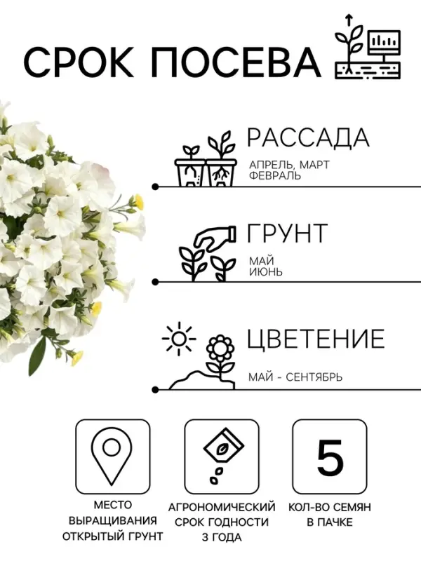 Семена цветов Петуния &laquo;Минифлора Горшечная&raquo; F1, белая, драже, 5 шт.