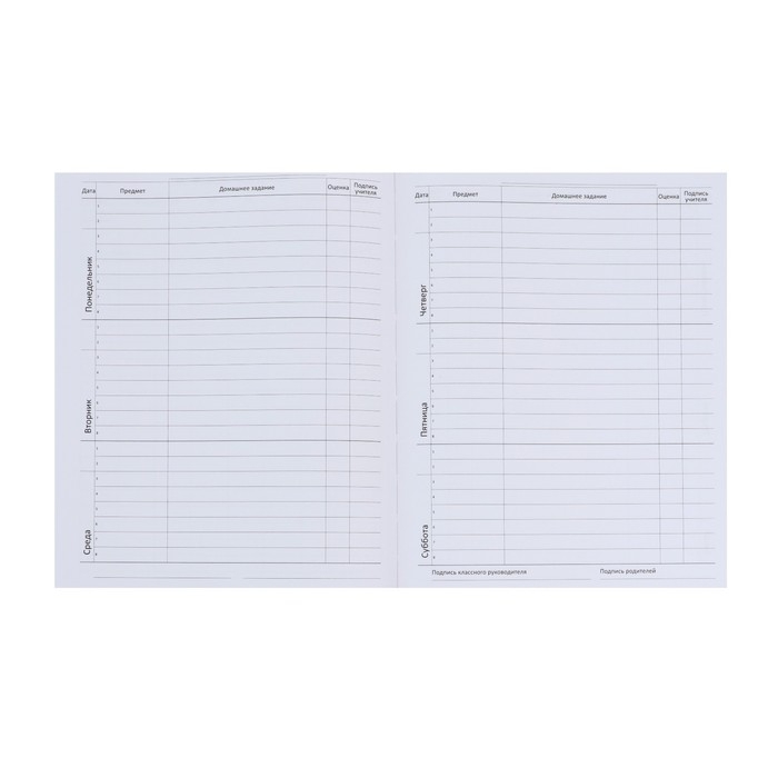 Дневник универсальный для 1-11 класса Favorite, мягкая обложка, на кнопке, искусственная кожа, тиснение фольгой, хлястик, ляссе, 48 листов