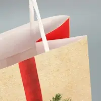 Пакет под бутылку &laquo;Новогодний подарок&raquo;, 13 x 36 x 10 см