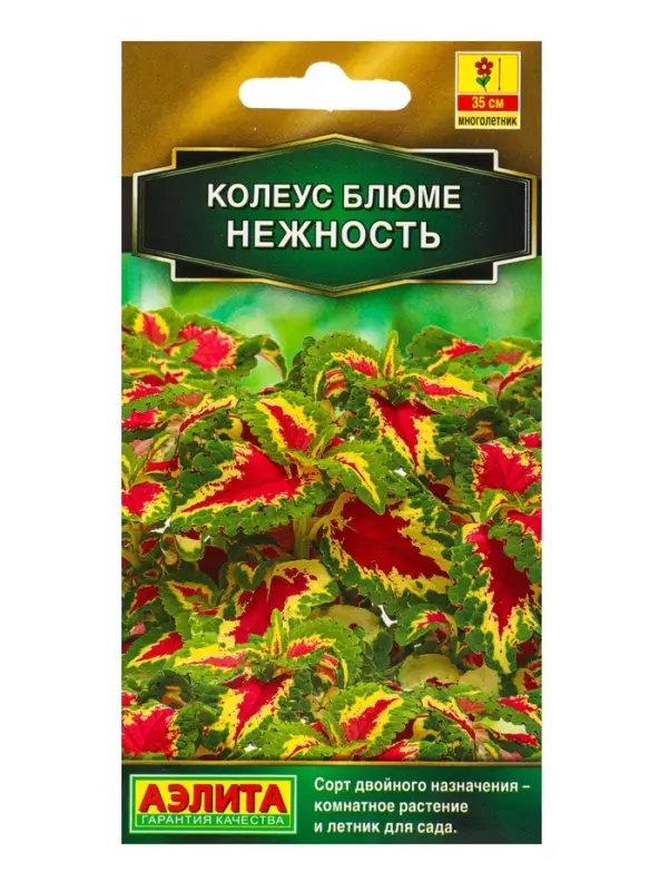 Набор семян цветов Колеус