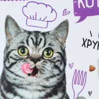 Коврик под миску &laquo;Кот не работает, кот ест!&raquo; 43&times;28 см