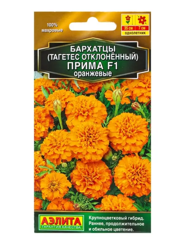 Семена цветов Бархатцы Прима оранжевые F1 отклоненные Золотая серия, Ц/П,10 шт. Семена цветов Бархатцы Прима оранжевые F1 отклоненные Золотая серия, Ц/П,10 шт.