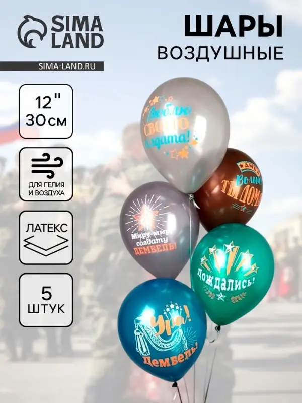 Воздушные шары латексные 12" &laquo;Дембель&raquo;, 5 шт., МИКС