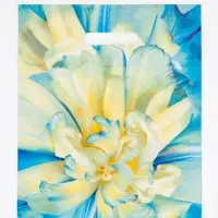 Пакет подарочный &laquo;Молли&raquo;, полиэтиленовый с вырубной ручкой, 30&times;37 см, 90 мкм