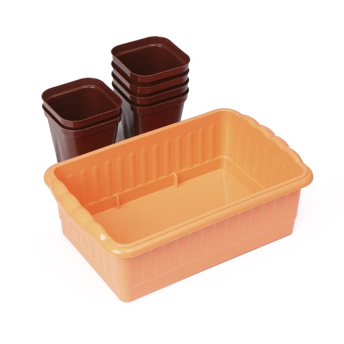 Набор для рассады: стаканы по 250 мл (6 шт.), контейнер 24 × 16 см, МИКС Набор для рассады: стаканы по 250 мл (6 шт.), контейнер 24 × 16 см, МИКС