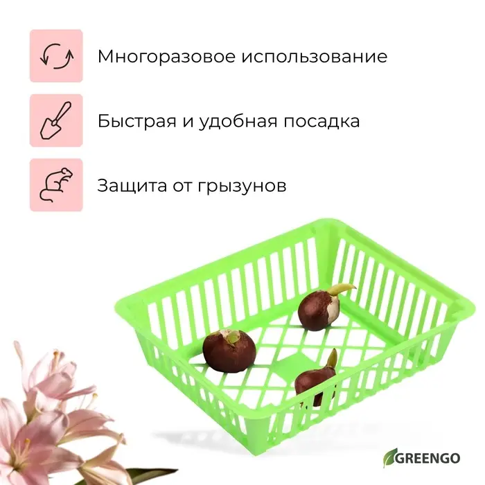Корзина для луковичных, квадратная, 25×20 см, зелёная, Greengo Корзина для луковичных, квадратная, 25×20 см, зелёная, Greengo
