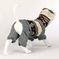 Комбинезон "Лапландия", с подкладом, размерразмер M (ДС 30, ОГ 40, ОШ 30 см), серый/бордо