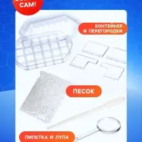 Набор для опытов &laquo;Лабиринт для муравьёв&raquo;